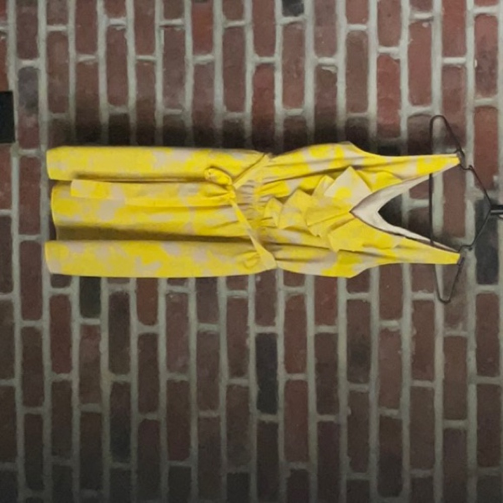 Express Sundress